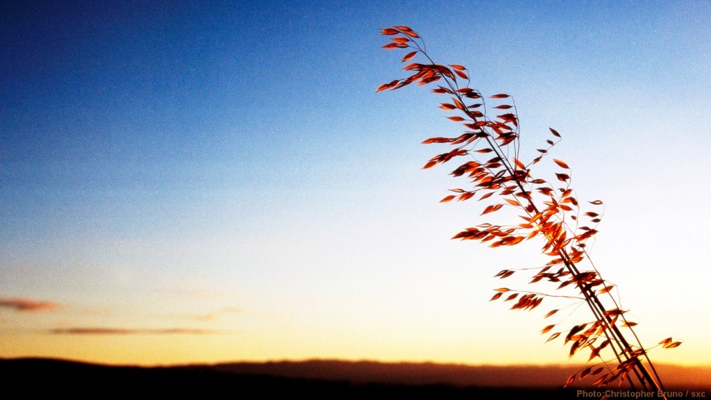 cww-photo-20140320-lent-1600x900